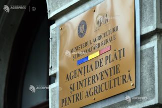 APIA: 24 septembrie este termenul limită pentru depunerea cererilor de ajutor pentru crescătorii de bovine și suine