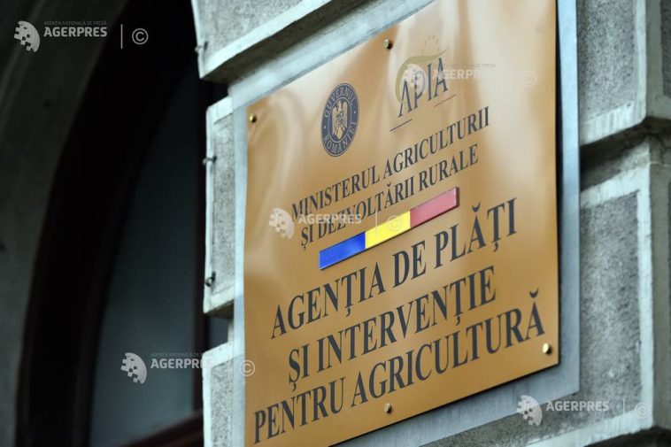 APIA: 24 septembrie este termenul limită pentru depunerea cererilor de ajutor pentru crescătorii de bovine și suine