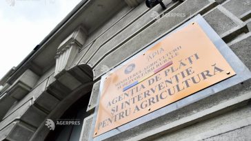 APIA: Sprijin financiar de peste 2,1 milioane lei pentru crescătorii de animale
