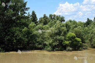 Cod galben de inundații pe râuri mici din județele Galați și Vaslui