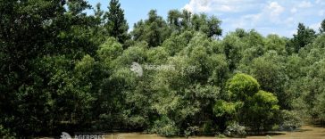 Cod galben de inundații pe râuri mici din județele Galați și Vaslui