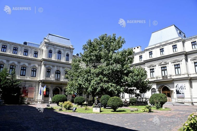 Selecție dintr-o importantă colecție particulară de artă românească – prezentată la Muzeul Național de Artă și la Muzeul Colecțiilor