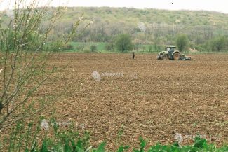 Opinia publică susține agricultura europeană și sprijinul UE pentru fermieri (Eurobarometru)