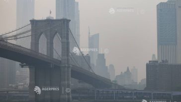 Peste o treime din populația lumii, expusă la niveluri periculoase de poluare cu ozon în 2026 (Copernicus)