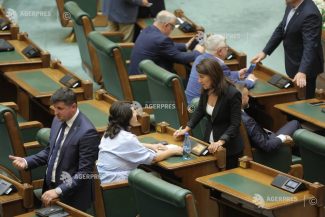 Senat: Orice persoană va putea să sesizeze poliția pentru sancționarea vânzării și cumpărării lucrărilor cu scopul de a fi plagiate
