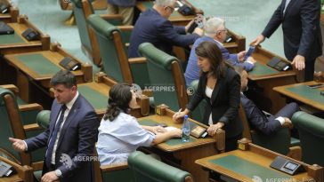 Senat: Orice persoană va putea să sesizeze poliția pentru sancționarea vânzării și cumpărării lucrărilor cu scopul de a fi plagiate