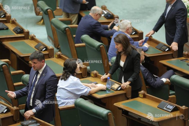 Senat: Orice persoană va putea să sesizeze poliția pentru sancționarea vânzării și cumpărării lucrărilor cu scopul de a fi plagiate