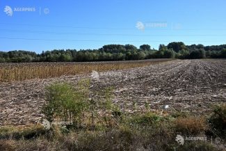 Alianța pentru Agricultură și Cooperare cere evaluarea urgentă a pagubelor și măsuri pentru fermierii afectați de secetă