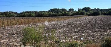 Alianța pentru Agricultură și Cooperare cere evaluarea urgentă a pagubelor și măsuri pentru fermierii afectați de secetă