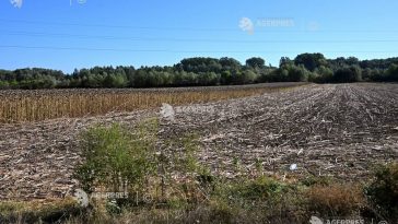 Alianța pentru Agricultură și Cooperare cere evaluarea urgentă a pagubelor și măsuri pentru fermierii afectați de secetă