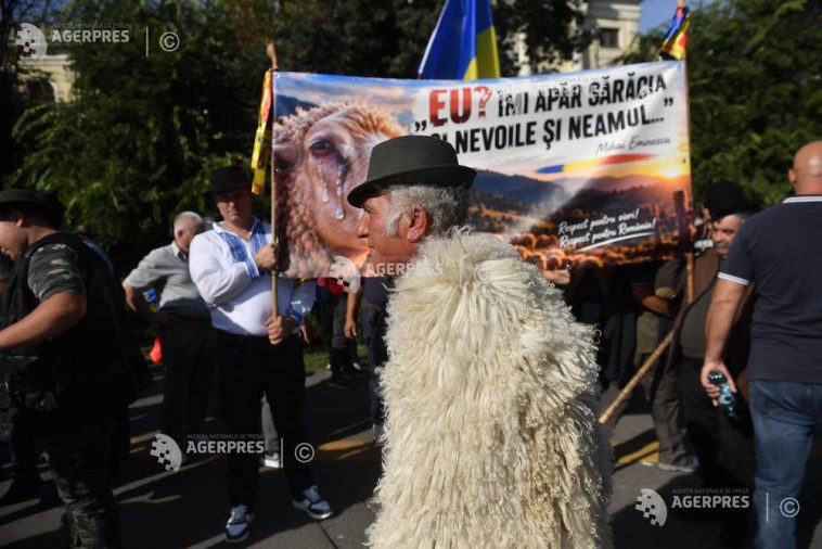 Oierii vor să rămână în Piața Victoriei până la soluționarea cererilor; reluarea exporturilor, o prioritate