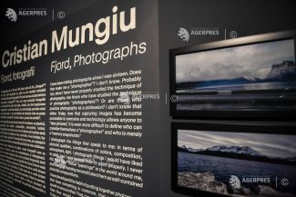 Mungiu, la Art Safari: Mă bucur pentru mica mea contribuție de a aduce oameni într-un muzeu de arte
