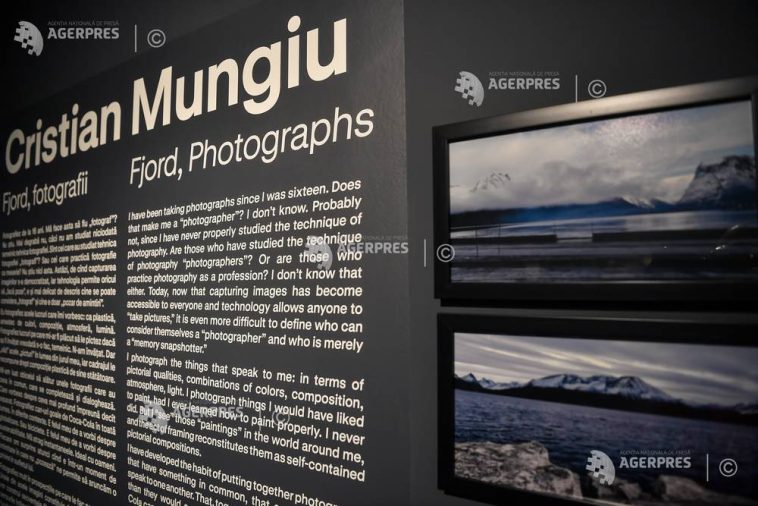 Mungiu, la Art Safari: Mă bucur pentru mica mea contribuție de a aduce oameni într-un muzeu de arte