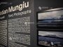 Mungiu, la Art Safari: Mă bucur pentru mica mea contribuție de a aduce oameni într-un muzeu de arte