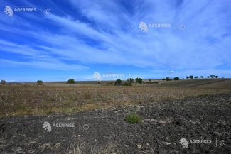REPORTAJ/Dolj: Proprietar în acte, dar nu fermier la câmp; cum s-a schimbat satul în ultimii 20 de ani