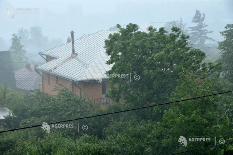 Informare de vânt în zone din Moldova, Muntenia și Dobrogea, până miercuri seara