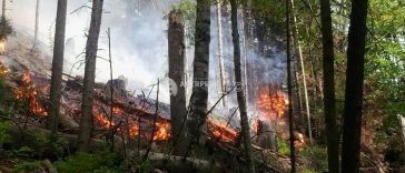 IGSU: Continuă acțiunile de stingere a incendiilor de la Băile Herculane; acționează peste 120 de pompieri și două elicoptere