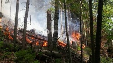 IGSU: Continuă acțiunile de stingere a incendiilor de la Băile Herculane; acționează peste 120 de pompieri și două elicoptere