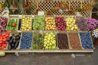 ECA: Organizațiile de producători din sectorul fructelor și legumelor nu pot încă rivaliza cu marile lanțuri de retail