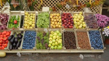 ECA: Organizațiile de producători din sectorul fructelor și legumelor nu pot încă rivaliza cu marile lanțuri de retail
