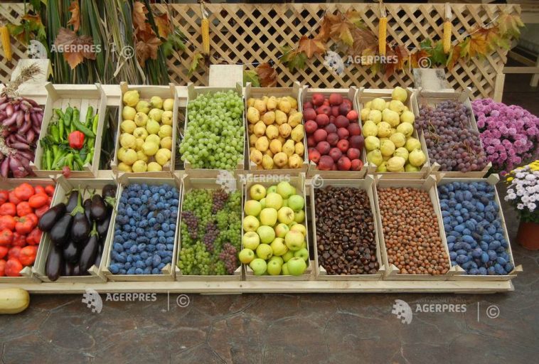 ECA: Organizațiile de producători din sectorul fructelor și legumelor nu pot încă rivaliza cu marile lanțuri de retail