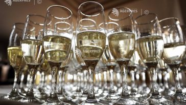 Producătorii de șampanie franțuzească vor recurge la rezervele de vin după ce canicula a afectat recolta de struguri