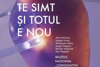 AnulBrâncuși/Gorj: Expoziția ‘Te simt și totul e nou’ – instalație media interactivă, la Muzeul ‘Constantin Brâncuși’