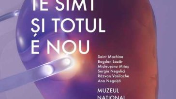 AnulBrâncuși/Gorj: Expoziția ‘Te simt și totul e nou’ – instalație media interactivă, la Muzeul ‘Constantin Brâncuși’