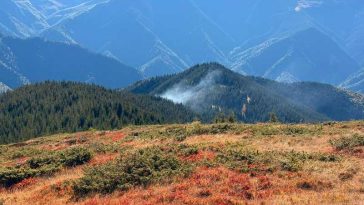 Argeș: Incendiul izbucnit într-o pădure de pe muntele Drăghina a fost localizat; se intervine pentru lichidare