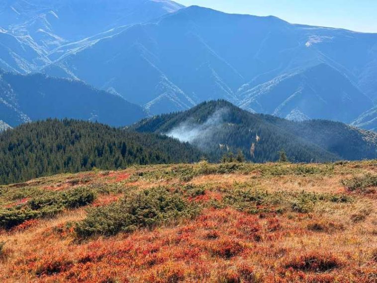 Argeș: Incendiul izbucnit într-o pădure de pe muntele Drăghina a fost localizat; se intervine pentru lichidare