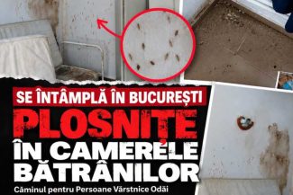 USR cere demisia directorului DGASPC Sector 1 și verificarea situației de la Căminul Odăi