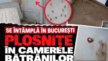 USR cere demisia directorului DGASPC Sector 1 și verificarea situației de la Căminul Odăi