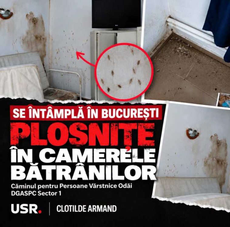 USR cere demisia directorului DGASPC Sector 1 și verificarea situației de la Căminul Odăi