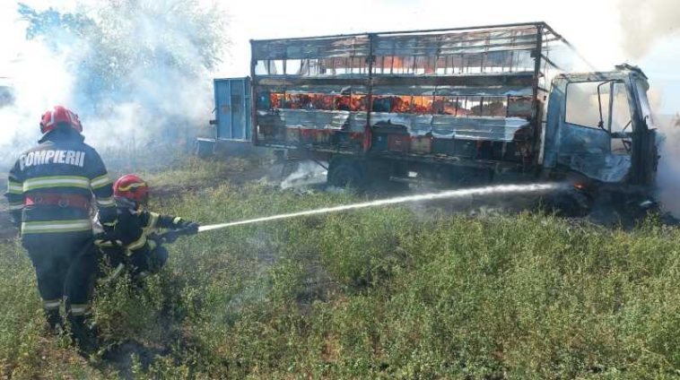Argeș: Un autocamion încărcat cu stupi a ars în comuna Călinești