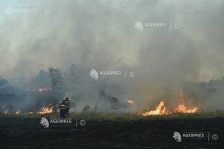 Satu Mare: O cultură de porumb pe două hectare, distrusă de un incendiu în localitatea Oar