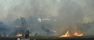Satu Mare: O cultură de porumb pe două hectare, distrusă de un incendiu în localitatea Oar