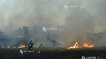 Satu Mare: O cultură de porumb pe două hectare, distrusă de un incendiu în localitatea Oar