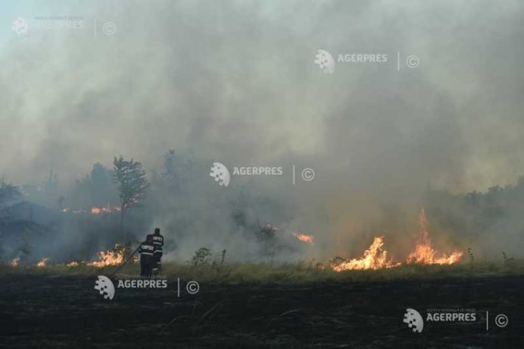 Satu Mare: O cultură de porumb pe două hectare, distrusă de un incendiu în localitatea Oar