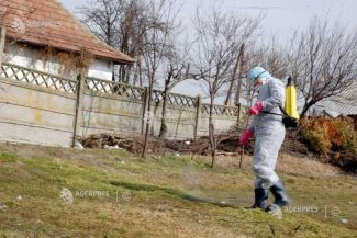 Harghita: Trei noi cazuri de rabie confirmate la Mădăraș, Sândominic și Mihăileni