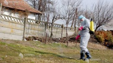 Harghita: Trei noi cazuri de rabie confirmate la Mădăraș, Sândominic și Mihăileni