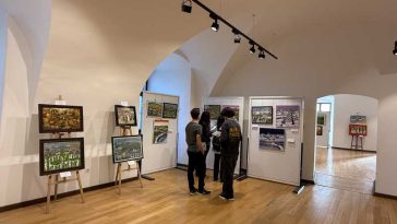 Bihor: Arta naivă românească, între tradiție și riscul dispariției; Festivalul Național de la Oradea, la ediția a XIII-a (GALERIE FOTO)