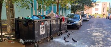 Hunedoara: Greva de la firma de colectare a gunoiului continuă; angajații își vor primi salariile restante