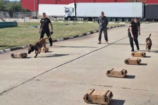 AVR: Șapte echipe canine vamale din Ucraina, pregătite în România pentru combaterea contrabandei