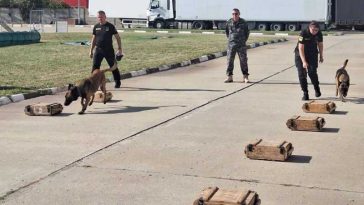 AVR: Șapte echipe canine vamale din Ucraina, pregătite în România pentru combaterea contrabandei