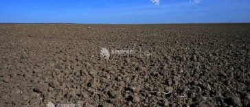 Agrometeo: Seceta pedologică se menține în cea mai mare parte a țării în următoarea săptămână