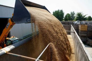 Wadephul îndeamnă la presiuni asupra Rusiei pentru a pune capăt blocadei exporturilor de cereale ucrainene