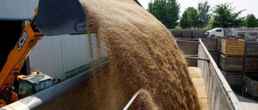 Wadephul îndeamnă la presiuni asupra Rusiei pentru a pune capăt blocadei exporturilor de cereale ucrainene
