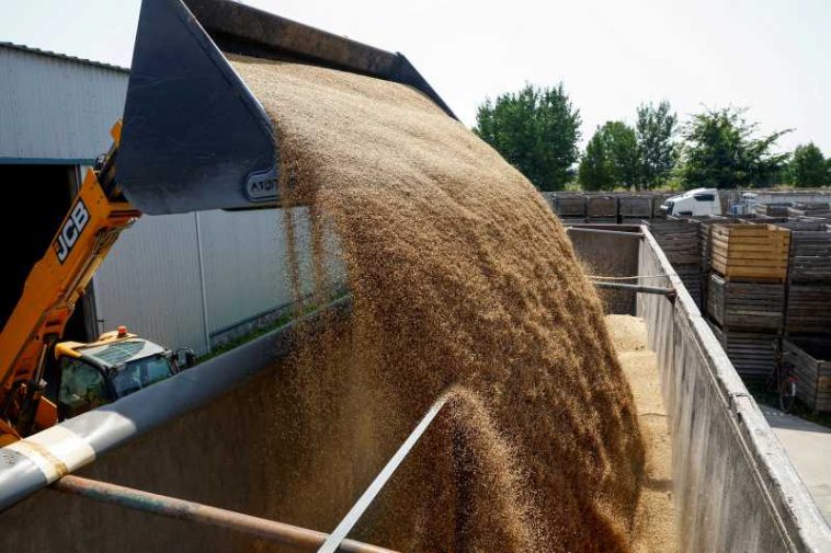 Wadephul îndeamnă la presiuni asupra Rusiei pentru a pune capăt blocadei exporturilor de cereale ucrainene