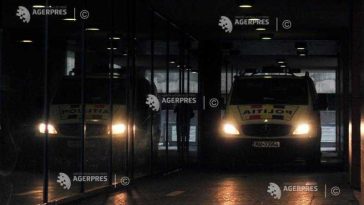 VIDEO Percheziții la membrii unei rețele de tip piramidal care transportau migranți ascunși în autotrenuri spre Germania