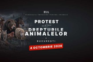 Peste 70 de ONG-uri și iubitori de animale din toată țara protestează duminică în București